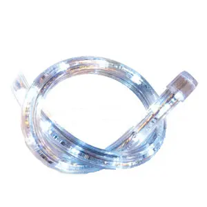 LED Rope Light by the Foot Cool White