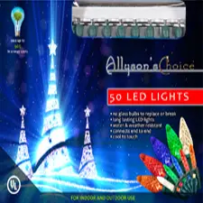 50 LED Warm White White Wire