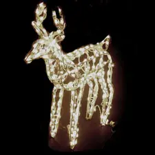 Small 3D Deer