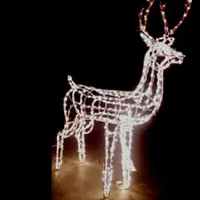 3D Buck Reindeer