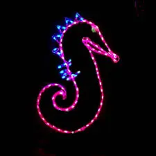 Tropical Seahorse