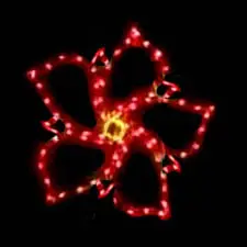Poinsettia Flower