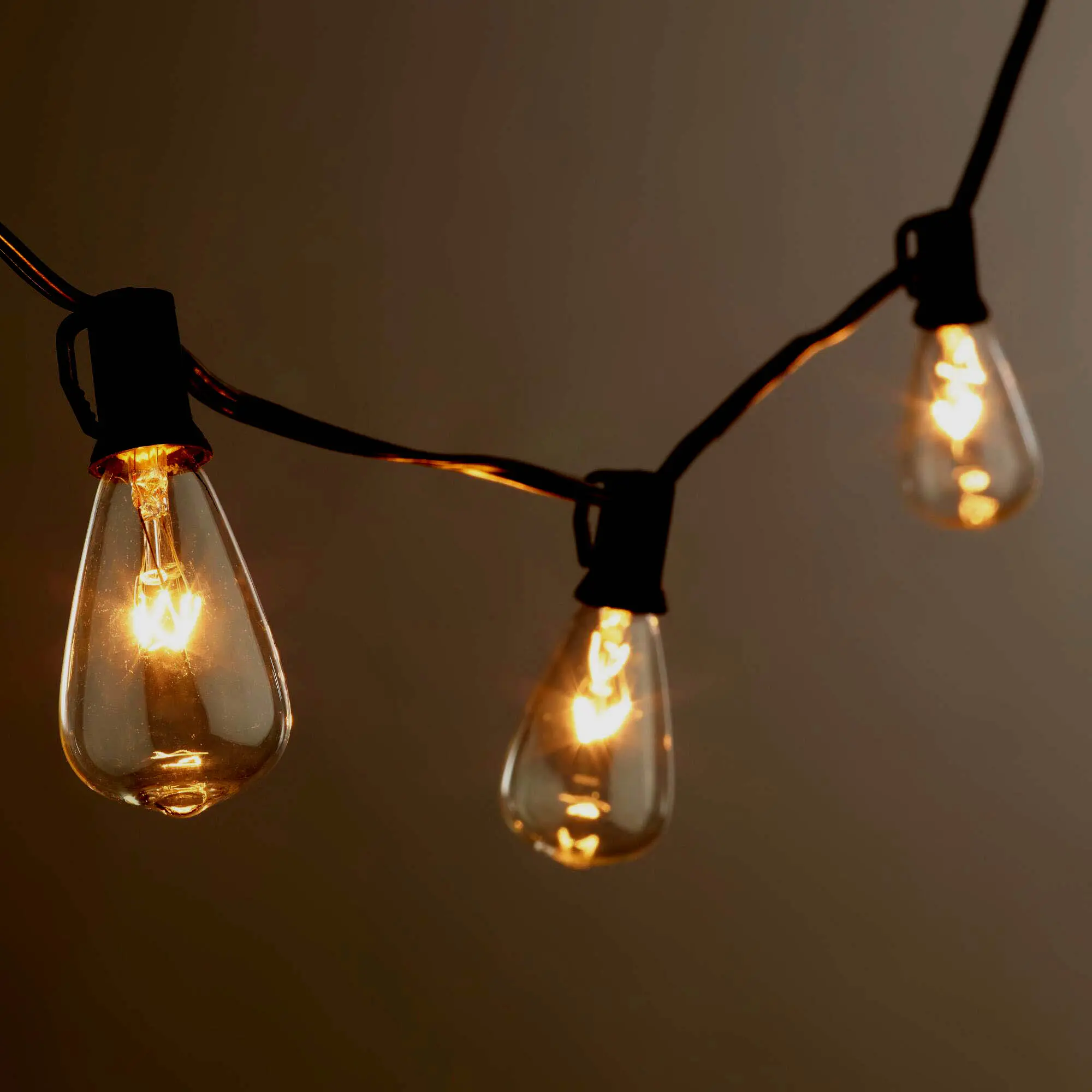 Edison Novelty Light Set