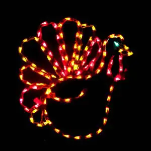 Fall Turkey