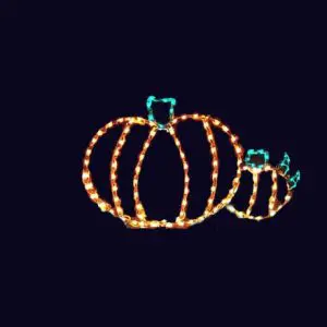Pumpkin Patch