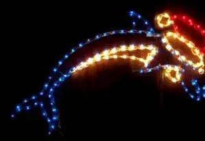 Dolphin with Santa Hat