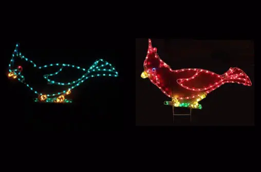 Cardinal or Blue Jay