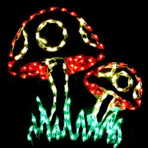 Holiday Mushrooms