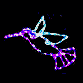 Neon hummingbird light display