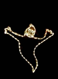 Animated BOO Ghost