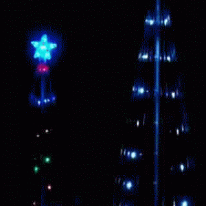 LED Light Show Tree