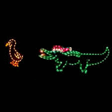 Gator Chasing Ducks