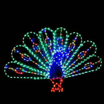 Animated Peacock