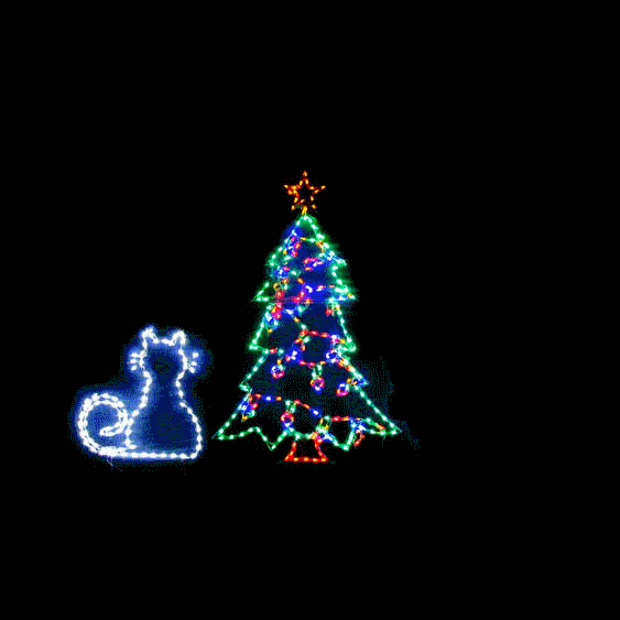 Curious Christmas Cat